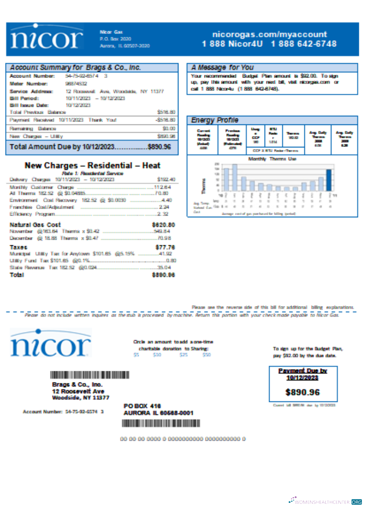 Download Illinois Nicor gas business utility bill SCR Photoshop template